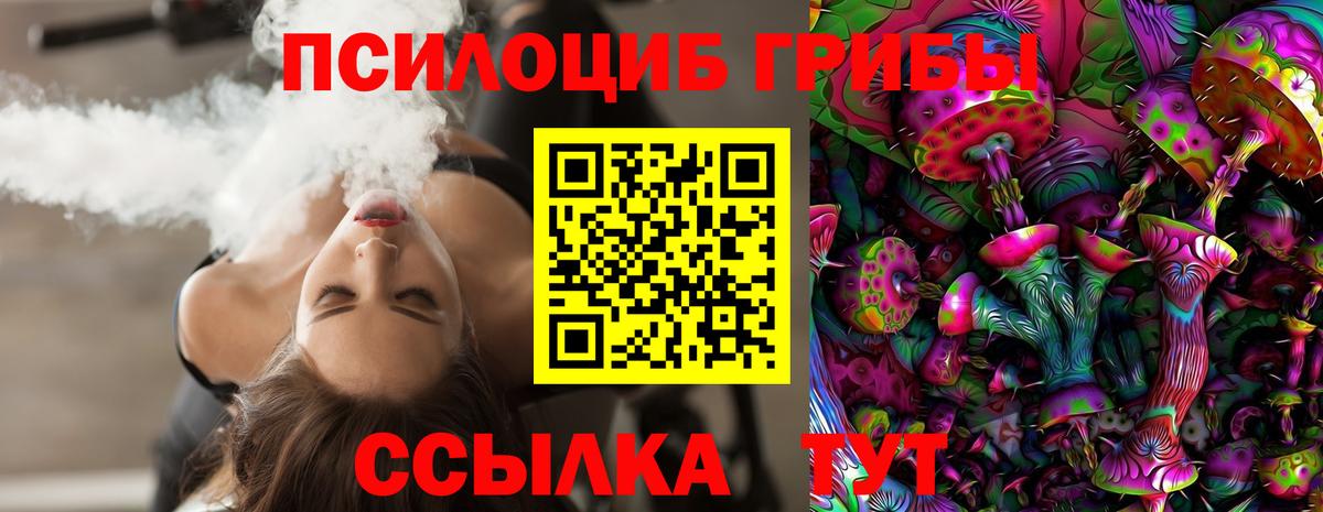 Алапаевск  Псилоцибиновые грибы Cubensis  Вход с VPN  Псилоцибиновые грибы Magic Shrooms 